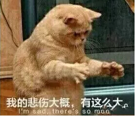 58.jpg